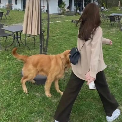 魔法童话夜